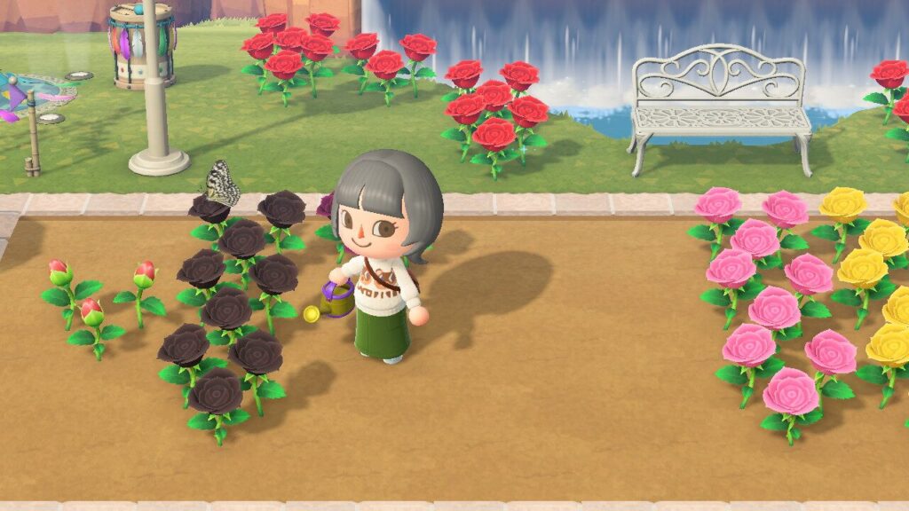 ついに五つ星になりました